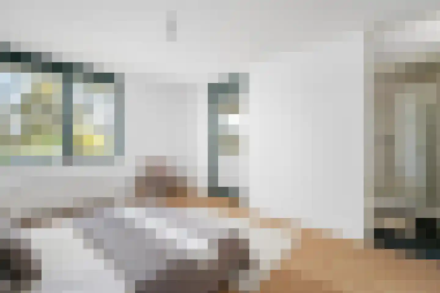 Voorhout 3 Rotterdam thumbnail 26