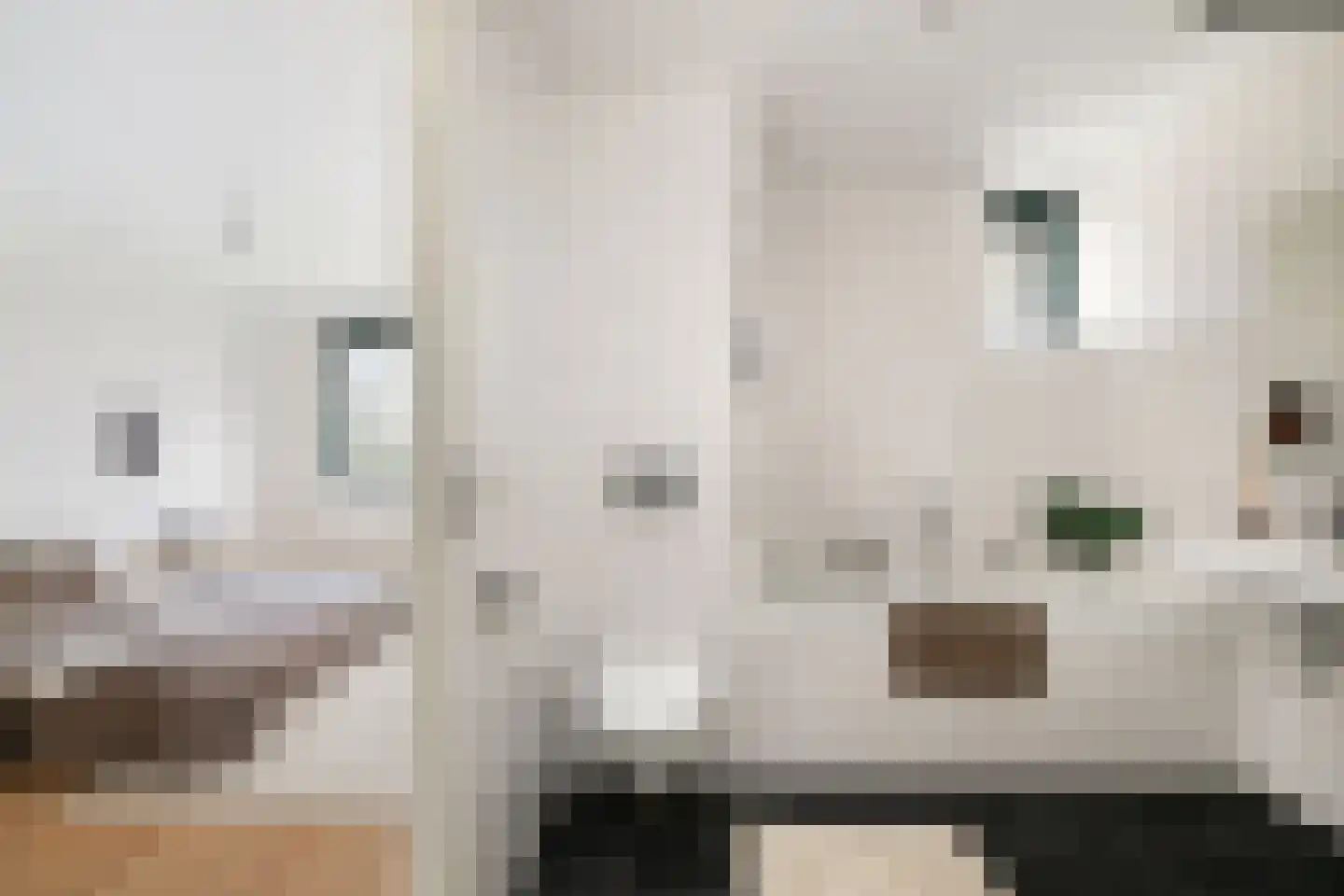 Voorhout 3 Rotterdam thumbnail 29