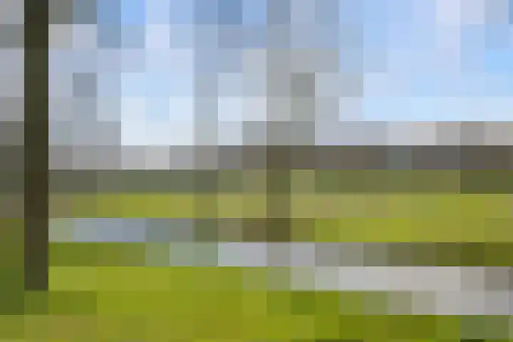Voorhout 3 Rotterdam thumbnail 35