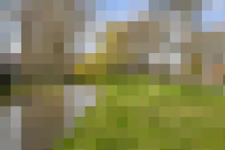 Voorhout 3 Rotterdam thumbnail 38