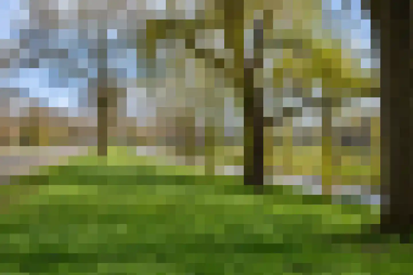 Voorhout 3 Rotterdam thumbnail 39