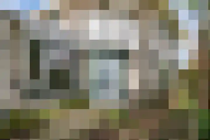 Voorhout 3 Rotterdam thumbnail 4
