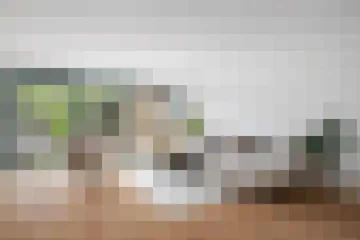 Voorhout 3 Rotterdam thumbnail 5