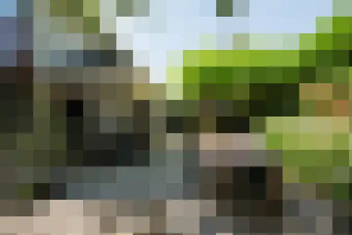 Voorhout 5 Rotterdam thumbnail 11