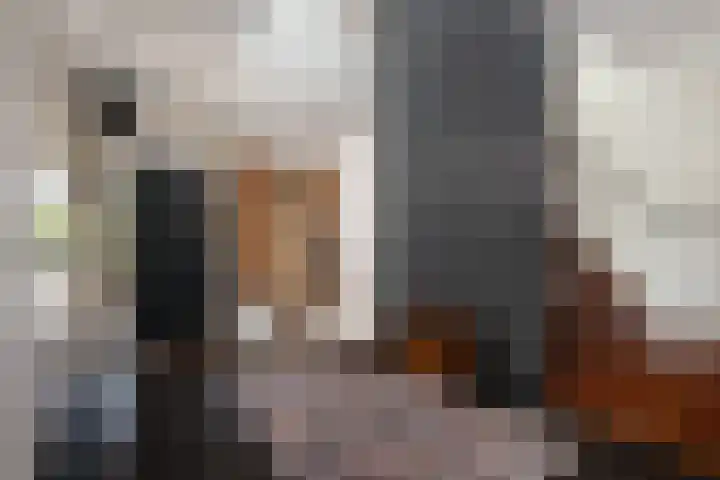 Voorhout 5 Rotterdam thumbnail 12