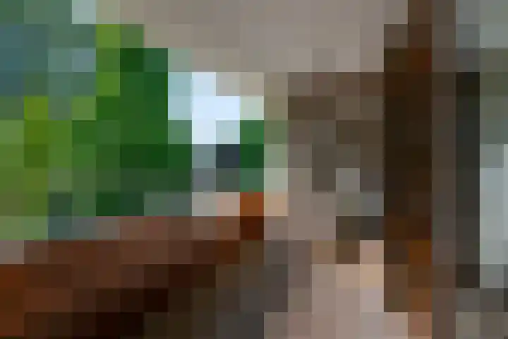 Voorhout 5 Rotterdam thumbnail 19