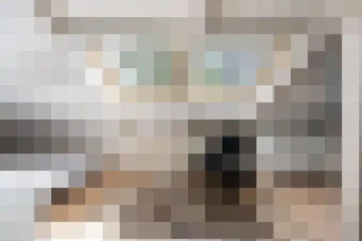 Voorhout 5 Rotterdam thumbnail 24