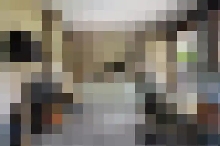 Voorhout 5 Rotterdam thumbnail 27