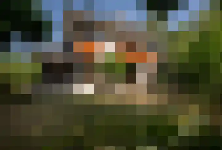 Voorhout 5 Rotterdam thumbnail 29