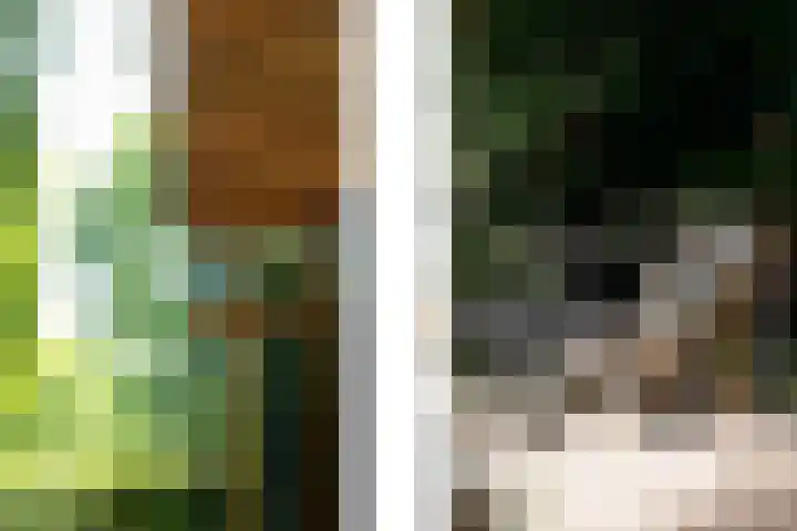 Voorhout 5 Rotterdam thumbnail 30