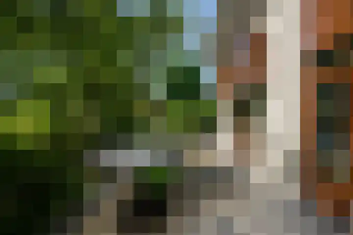 Voorhout 5 Rotterdam thumbnail 31