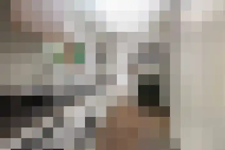Voorhout 5 Rotterdam thumbnail 33