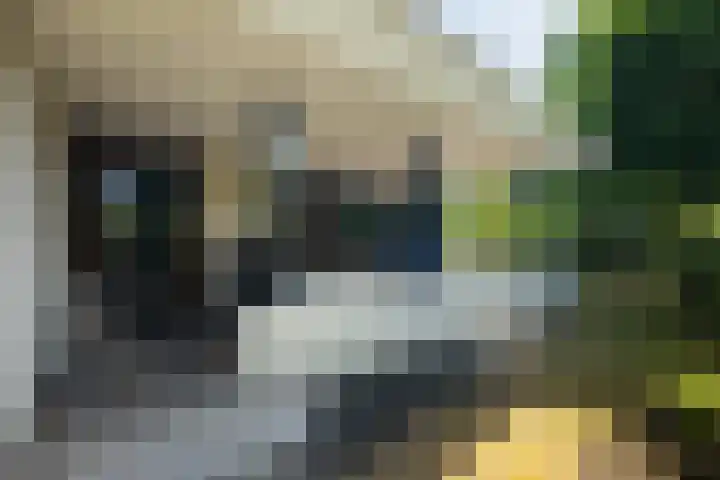 Voorhout 5 Rotterdam thumbnail 4
