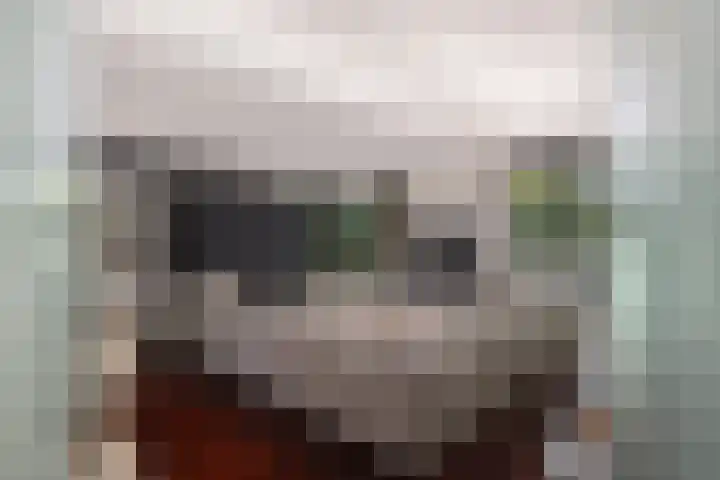 Voorhout 5 Rotterdam thumbnail 5
