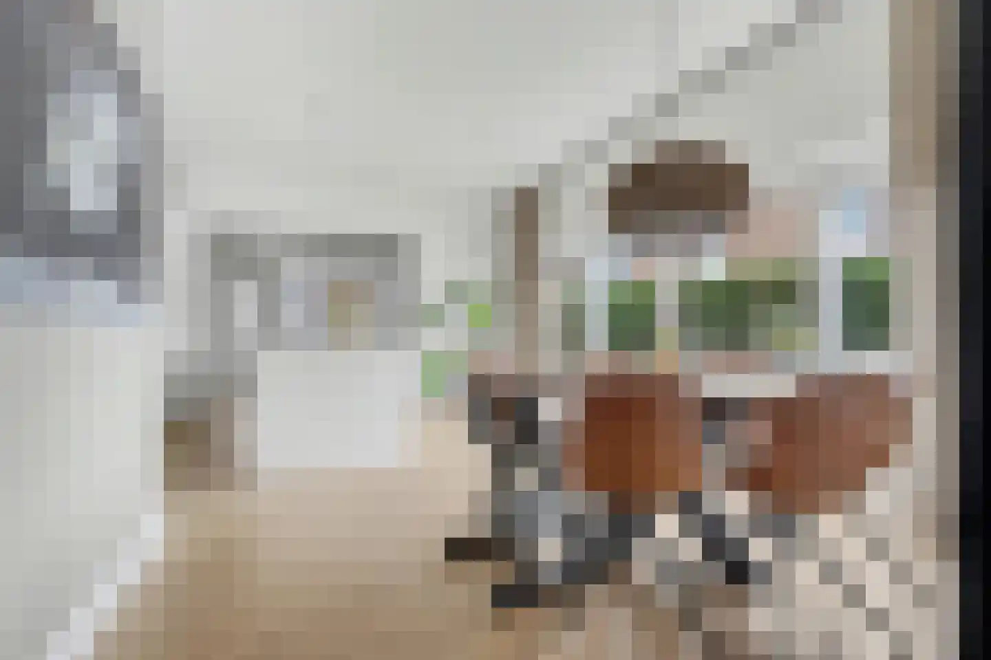 Voorhoute 9 Kruiningen thumbnail 12