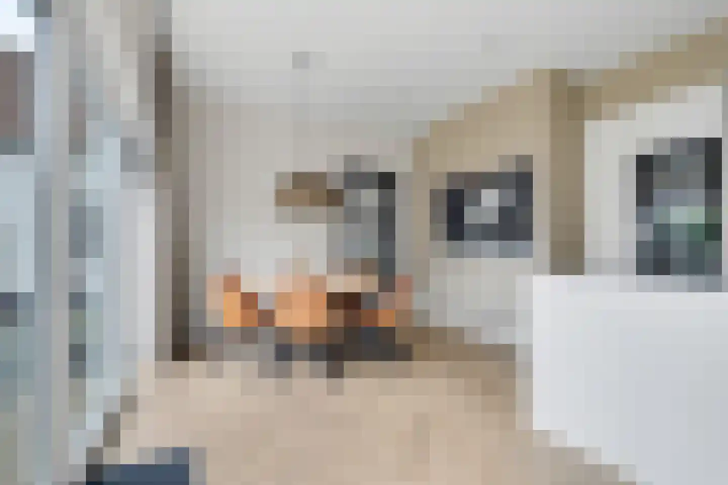 Voorhoute 9 Kruiningen thumbnail 13