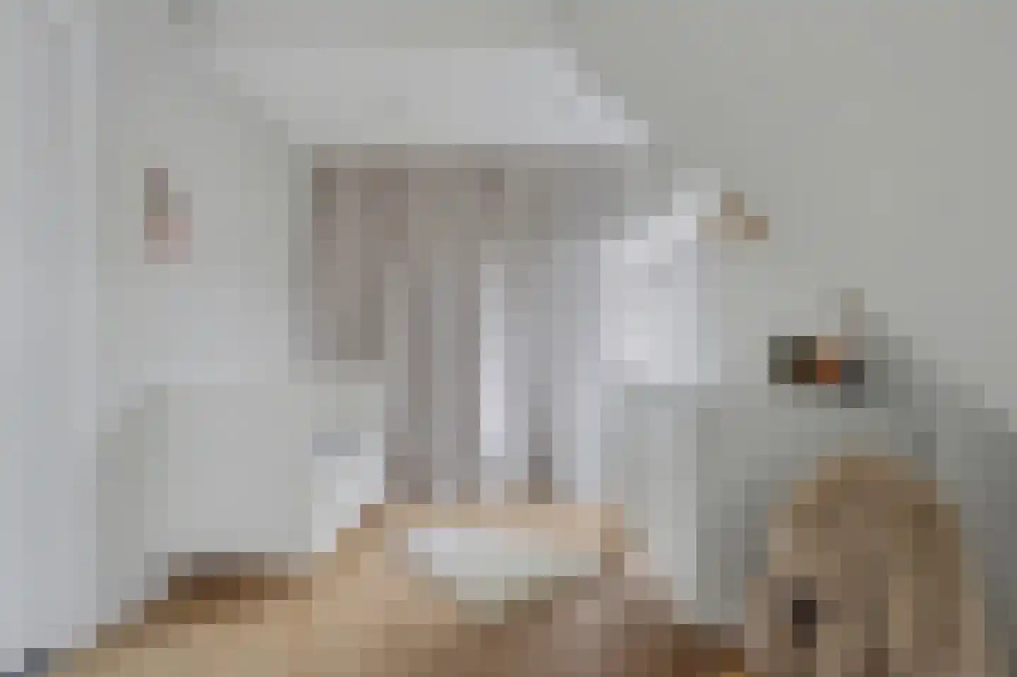 Voorhoute 9 Kruiningen thumbnail 25