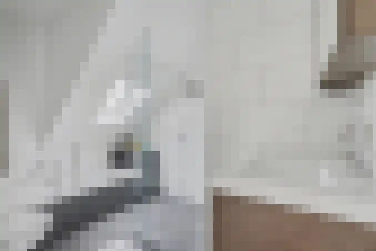 Voorhoute 9 Kruiningen thumbnail 30