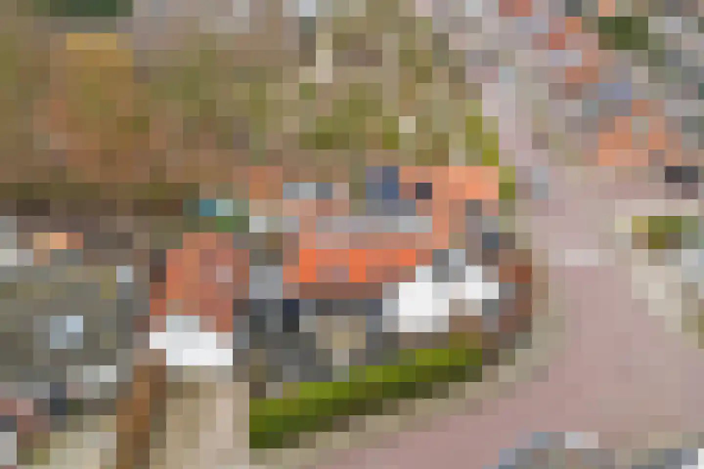 Voorhoute 9 Kruiningen thumbnail 40