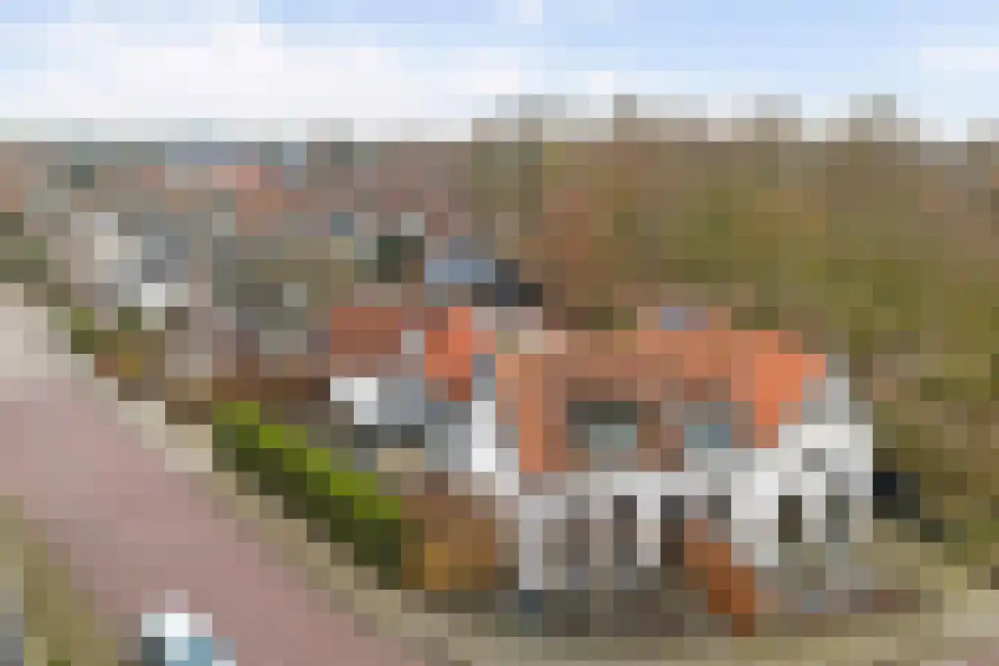 Voorhoute 9 Kruiningen thumbnail 5