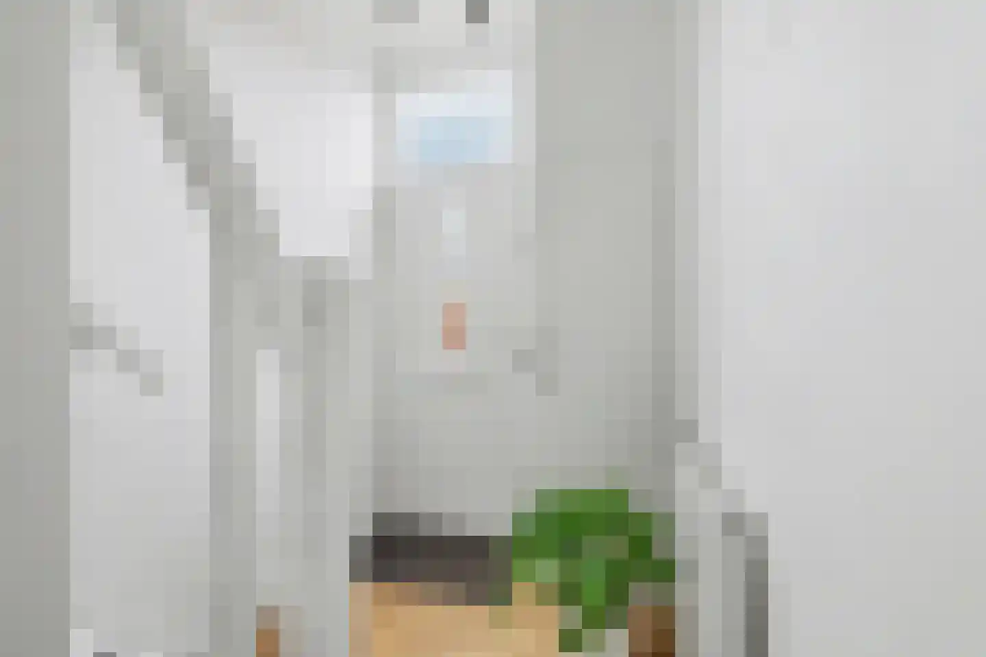Voorhoute 9 Kruiningen thumbnail 6