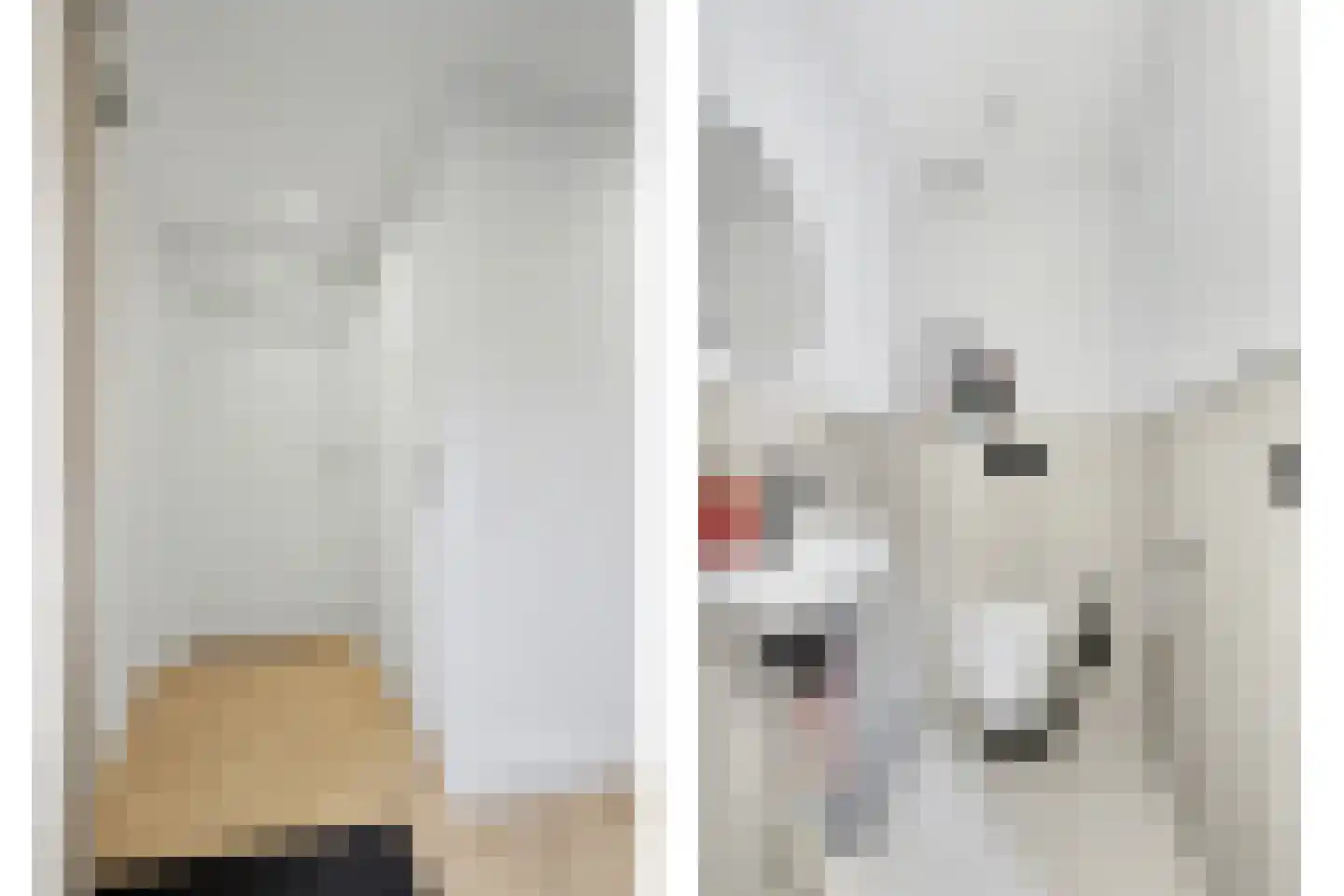 Voorhoute 9 Kruiningen thumbnail 7