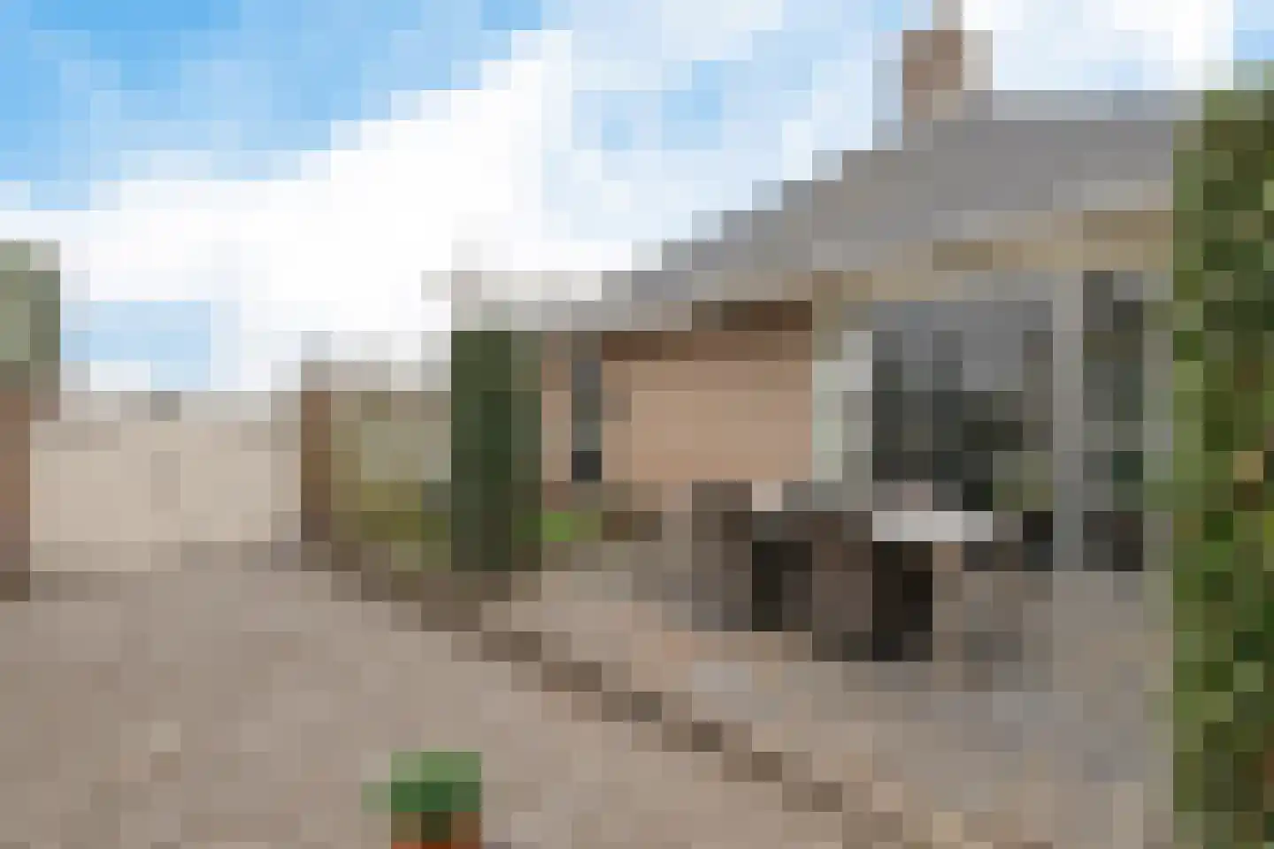 Voorhouterweg 56 Rijnsburg thumbnail 31