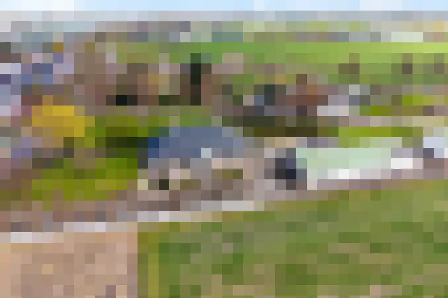 Voorhouterweg 56 Rijnsburg thumbnail 61