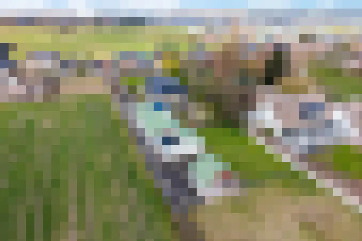 Voorhouterweg 56 Rijnsburg thumbnail 63