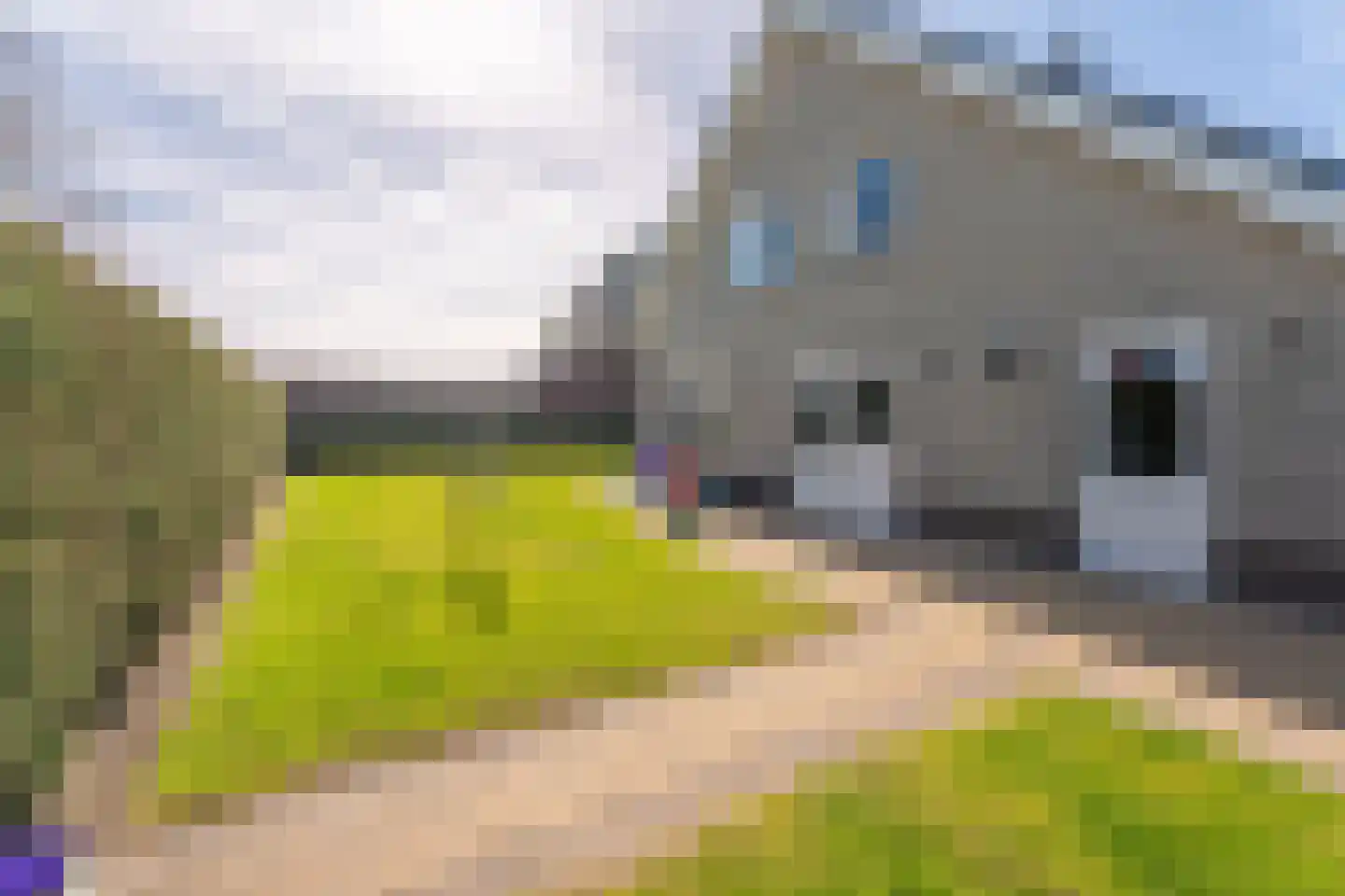 Voorhouterweg 80 A Rijnsburg thumbnail 38
