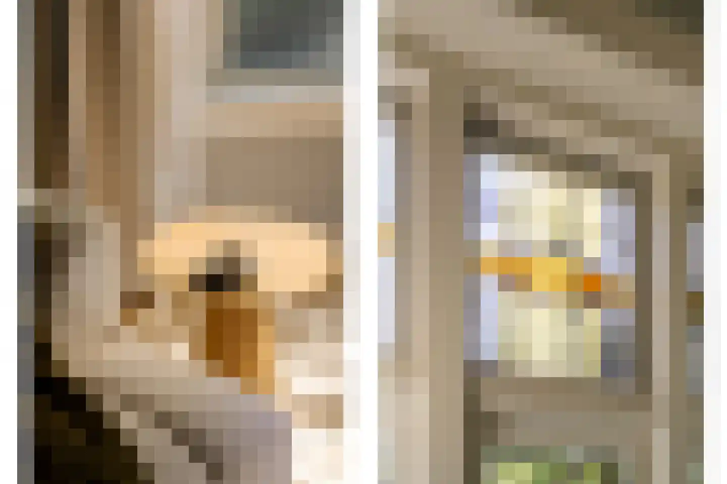 Voorhoutstraat 12 Haarlem thumbnail 12