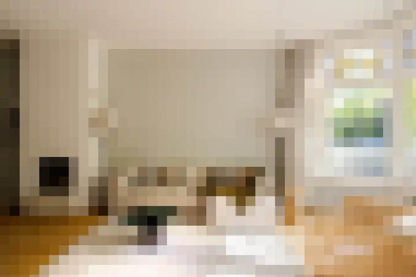 Voorhoutstraat 12 Haarlem thumbnail 15