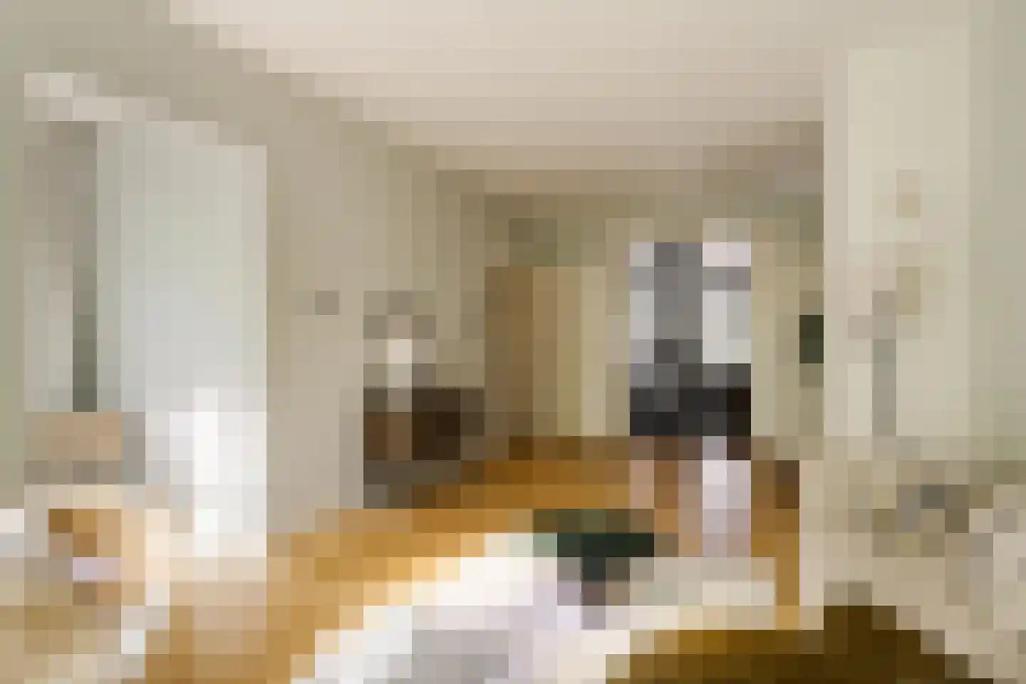 Voorhoutstraat 12 Haarlem thumbnail 16