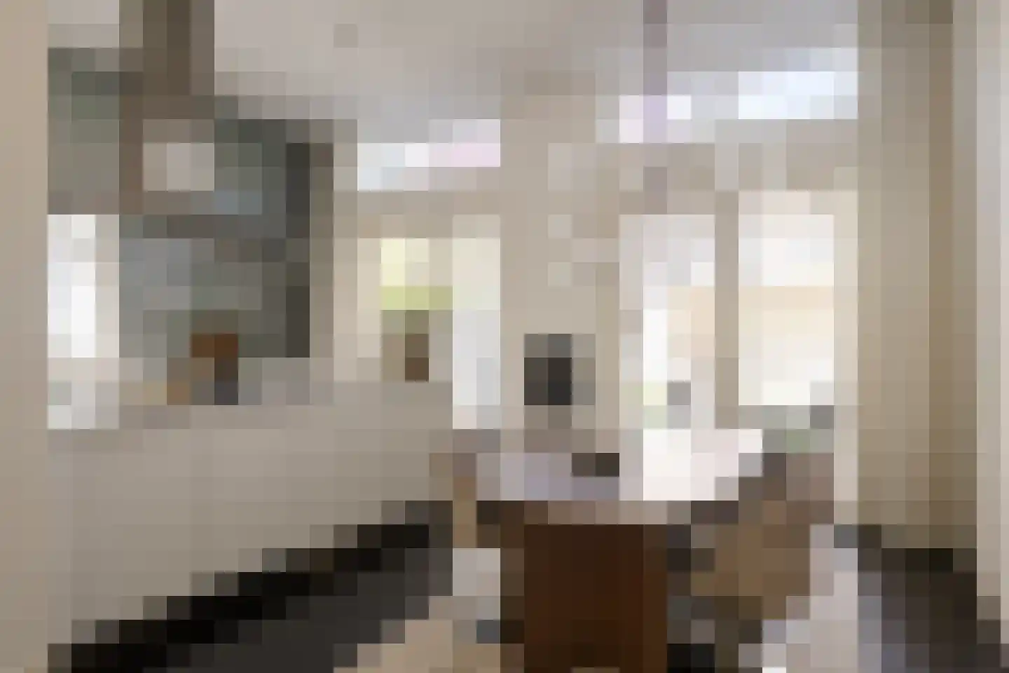 Voorhoutstraat 12 Haarlem thumbnail 22