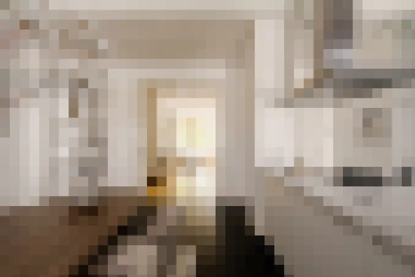Voorhoutstraat 12 Haarlem thumbnail 24