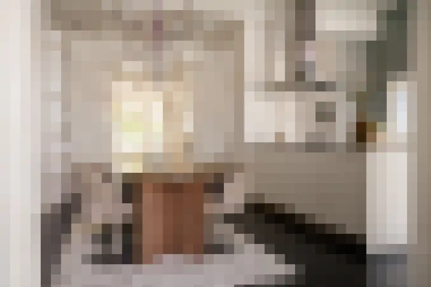 Voorhoutstraat 12 Haarlem thumbnail 25