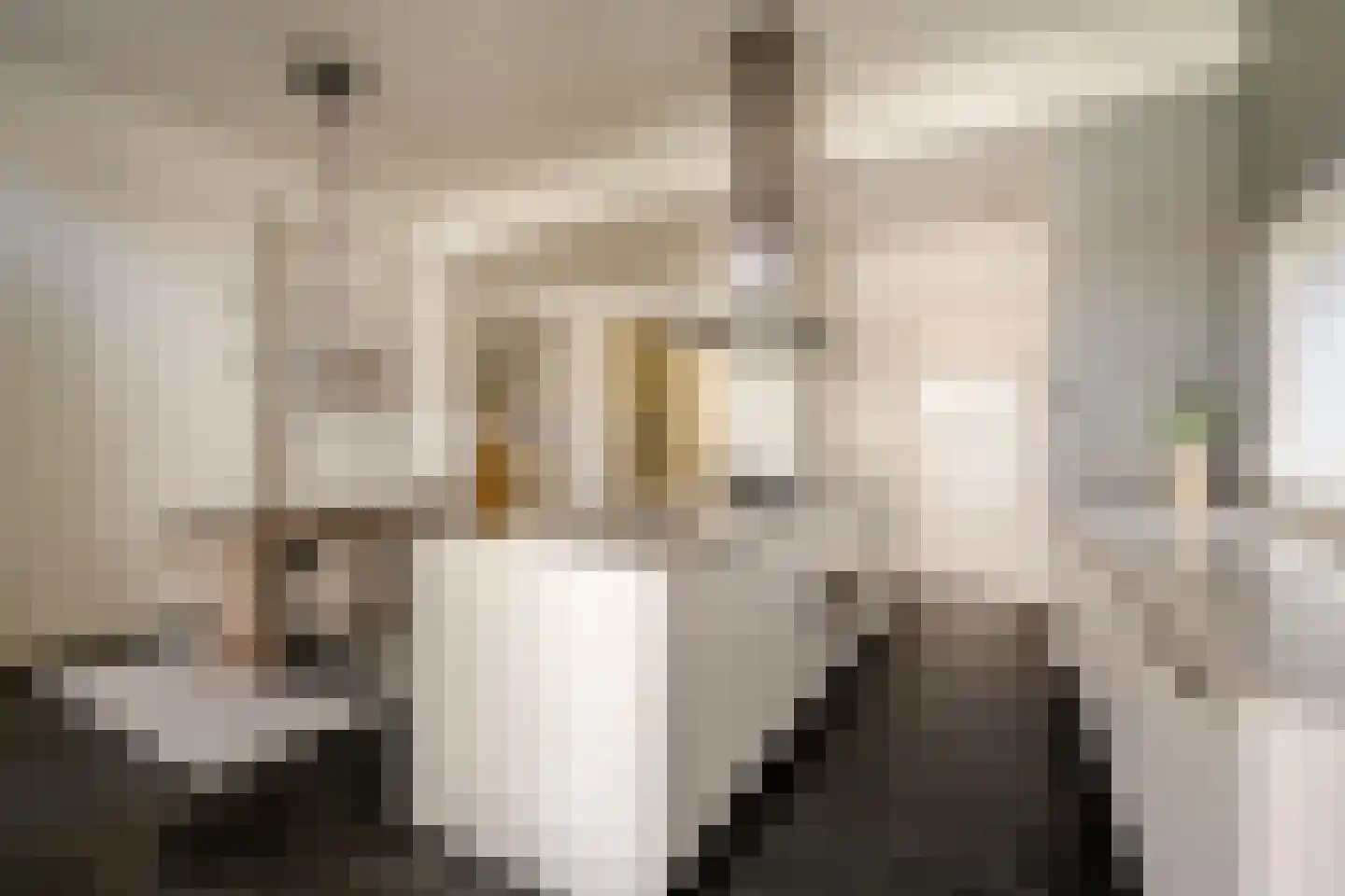 Voorhoutstraat 12 Haarlem thumbnail 26