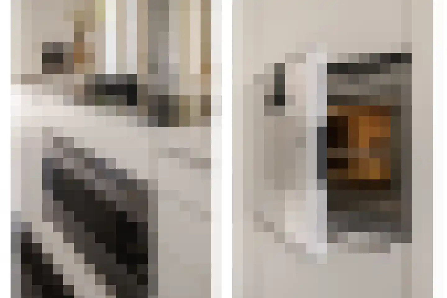 Voorhoutstraat 12 Haarlem thumbnail 30