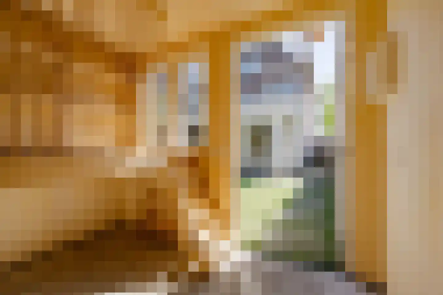 Voorhoutstraat 12 Haarlem thumbnail 33