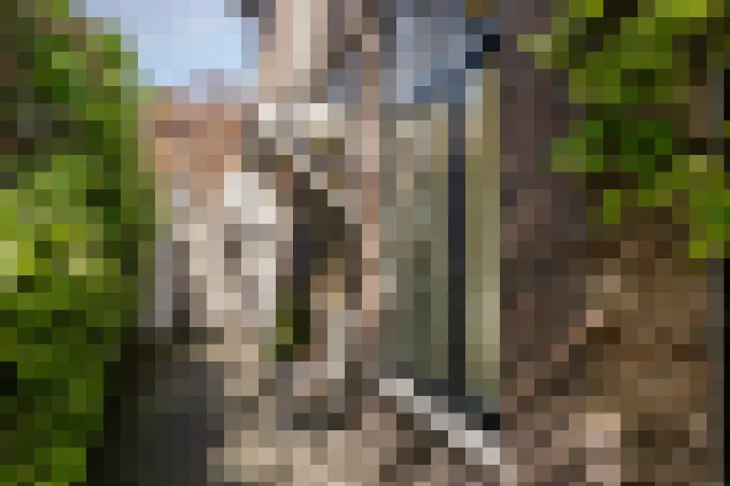 Voorhoutstraat 12 Haarlem thumbnail 5