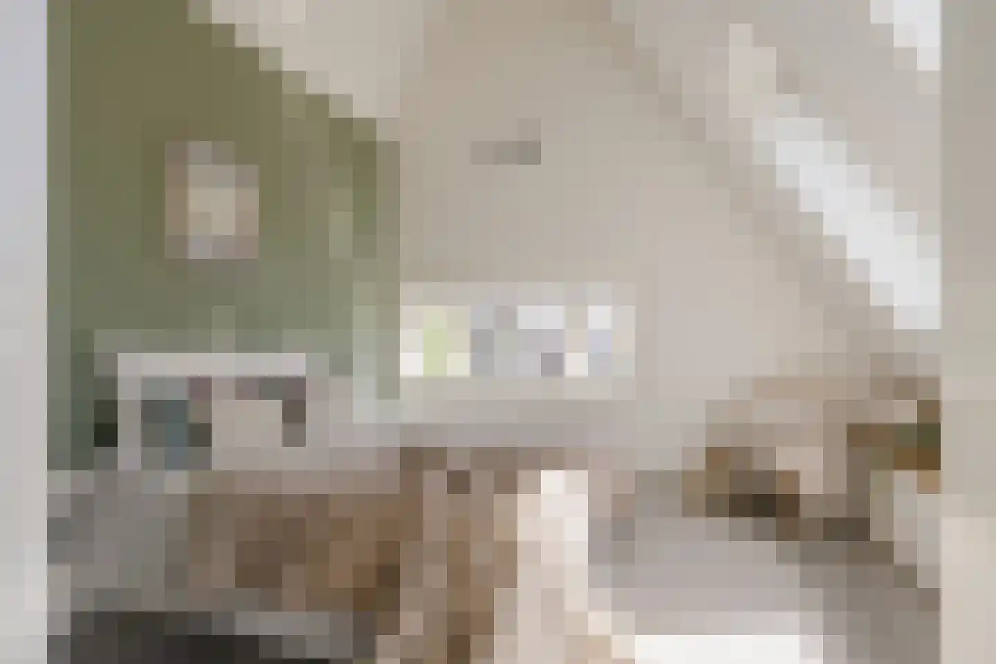 Voorhoutstraat 12 Haarlem thumbnail 59