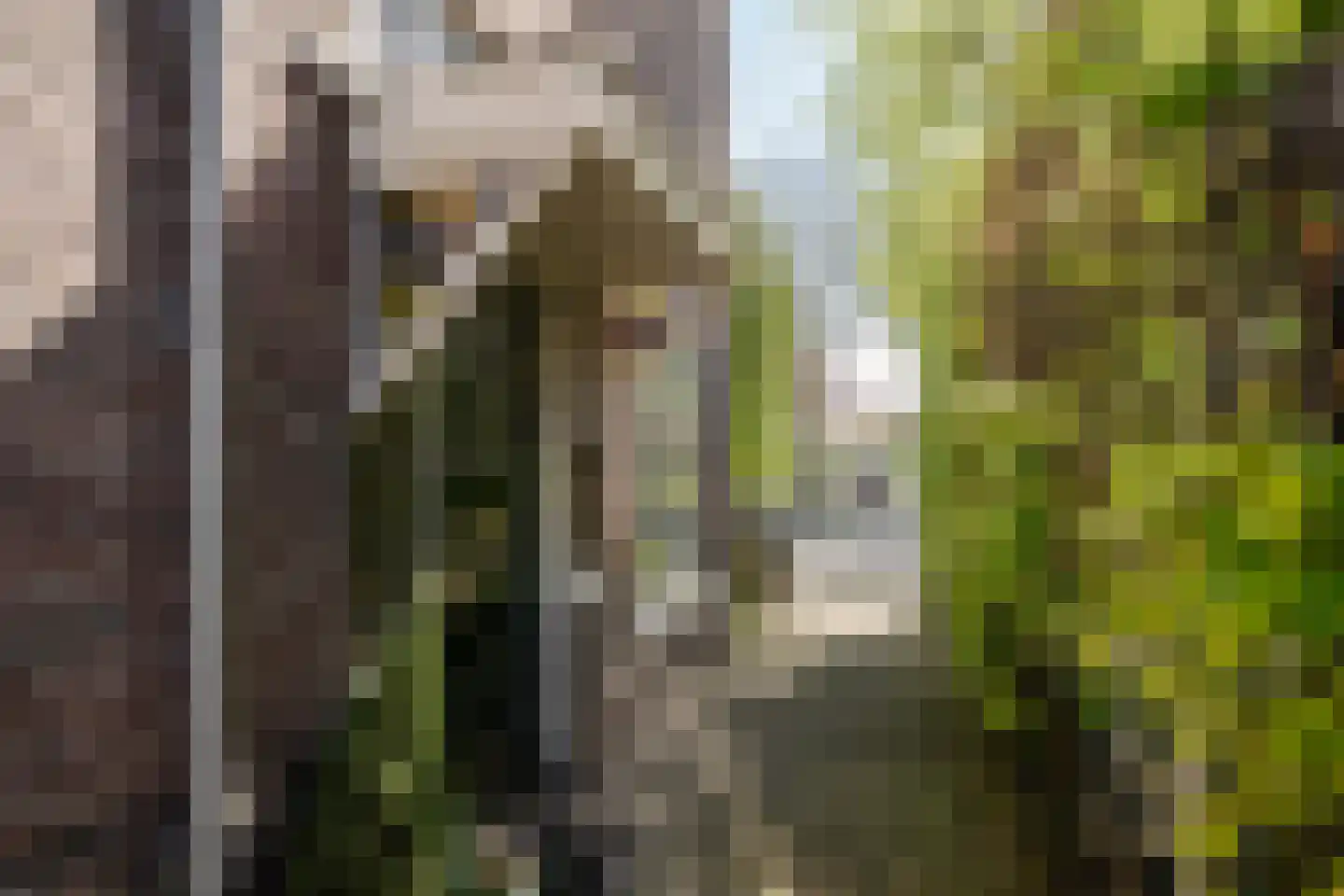 Voorhoutstraat 12 Haarlem thumbnail 6