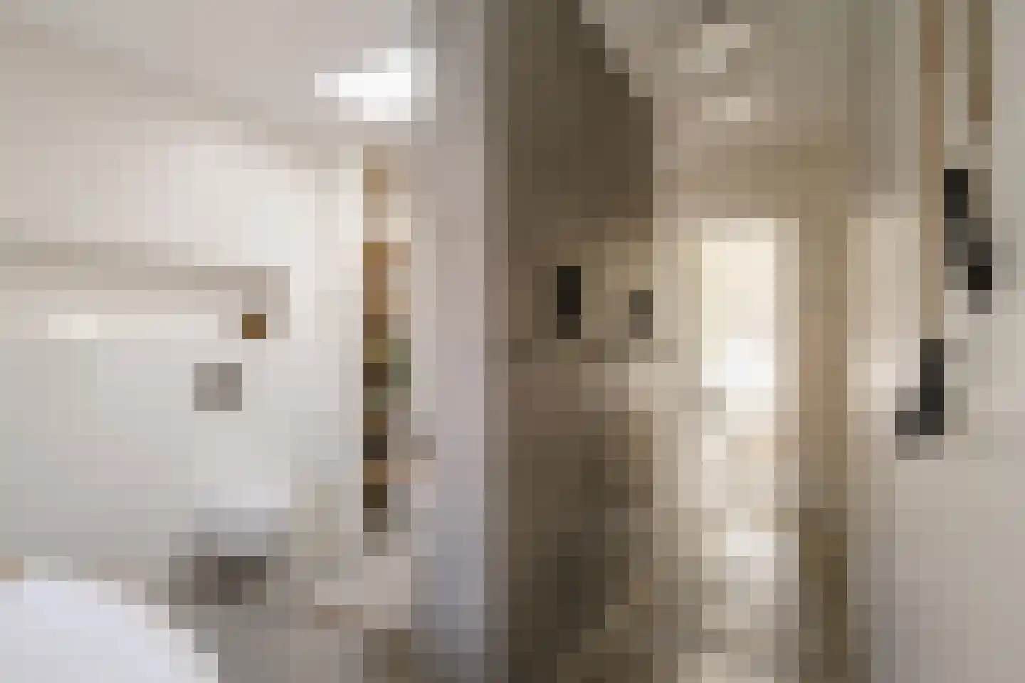 Voorhoutstraat 12 Haarlem thumbnail 66
