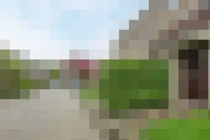 Voorhuis 13 Drachten thumbnail 6