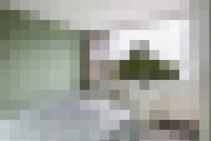 Voorhuis 22 Kamerik thumbnail 21