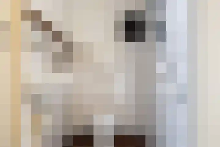 Voorhuis 22 Kamerik thumbnail 5