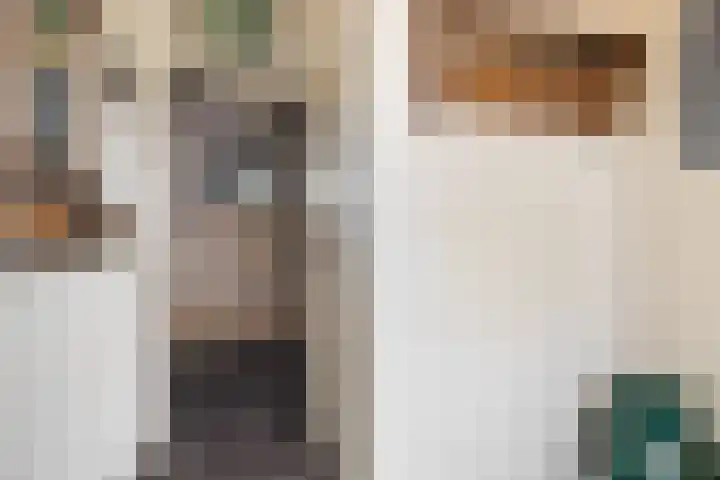 Voorhuis 22 Kamerik thumbnail 6