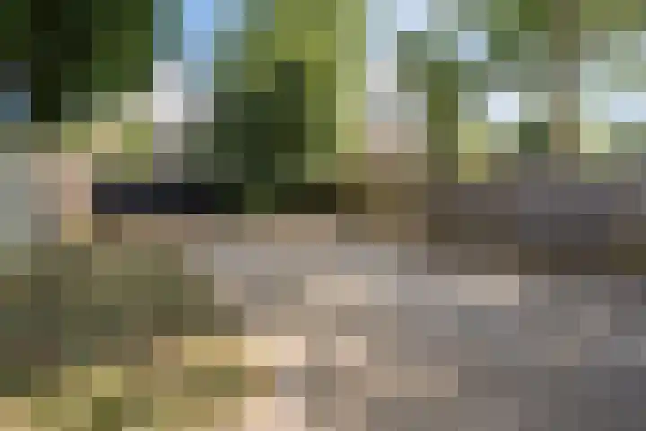 Voorhuis 27 Drachten thumbnail 44