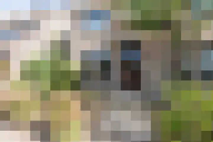 Voorhuis 27 Drachten thumbnail 50