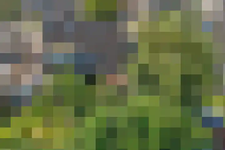 Voorhuis 67 Drachten thumbnail 32